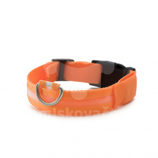 Svietiaci LED obojok pre psov – Firefly Z1 – USB nabíjanie – oranžový