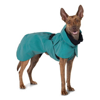 PAIKKA Visibility Raincoat - pršiplášť pre psy - smaragdový