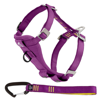 Kurgo Enhanced Strength Tru-Fit bezpečnostný postroj do auta pre psov - fialový